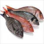 Frozen Sea Foods
